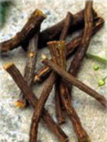 TSA GLYCYRRHIZA GLABRA 50 ML - farmascienza.it