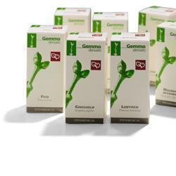 VITE VINIFERA MACERATO GLICERICO 200 ML - farmascienza.it