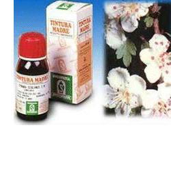 BIANCOSPINO 10 50ML TM - farmascienza.it