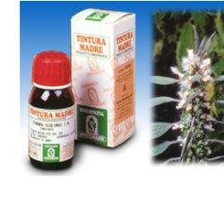 CARDIACA 16 50ML TM - farmascienza.it
