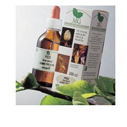GINEPRO MACERATO GLICERICO 100 ML - farmascienza.it