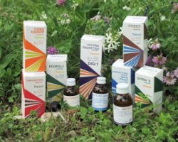 RAEMIL GRAMIGNA MACERATO IDROALCOLICO COMP 50 ML - farmascienza.it