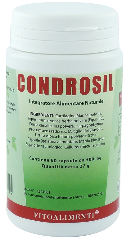 CONDROSIL 60 CAPSULE - farmascienza.it