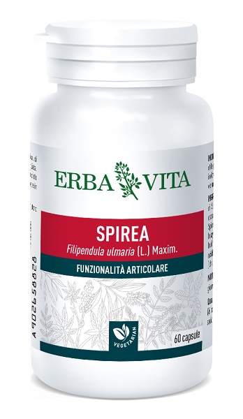 SPIREA ULMARIA 60 CAPSULE 400 MG - farmascienza.it