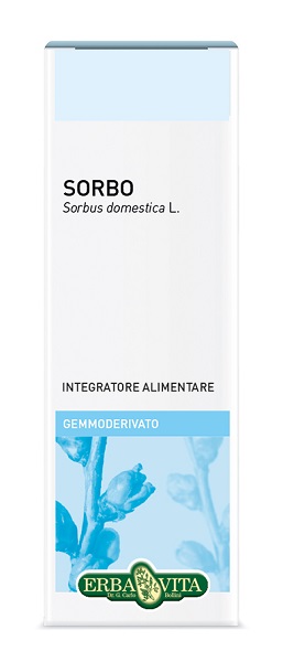 GEMMODERIVATO SORBO 50 ML - farmascienza.it
