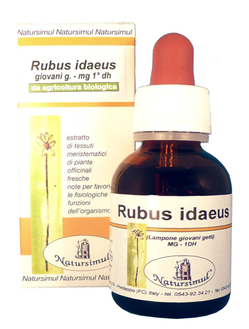 RUBUS IDAEUS GETTI 1DH MG 50ML - farmascienza.it