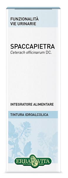 SPACCAPIETRA TINTURA IDROALCOLICA 50 ML EBV - farmascienza.it