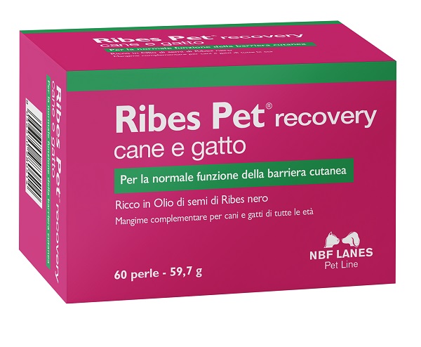 RIBES PET RECOVERY BLISTER 60 PERLE - farmascienza.it