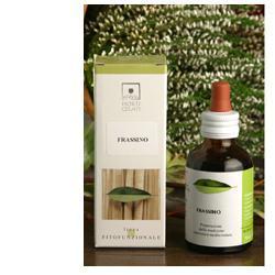 GINKGO BIO 50 ML SOTTOVUOTO - farmascienza.it