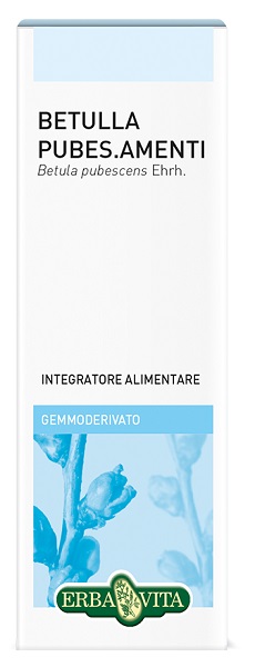 GEMMODERIVATO BETULLA PUBESCENS 50 ML - farmascienza.it