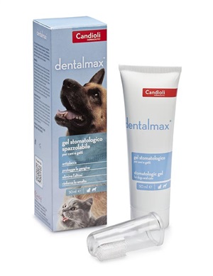 DENTALMAX GEL STOMATOLOGICO 50 ML - farmascienza.it