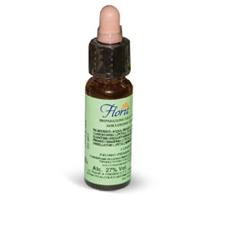 FLORIT 17 HORNBEAM/CAR BI GOCCE 10 ML - farmascienza.it