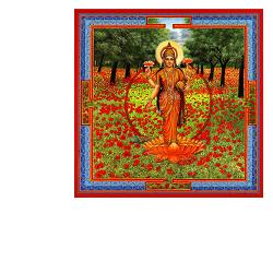 TRIPHAURUM GOCCE 30 ML - farmascienza.it