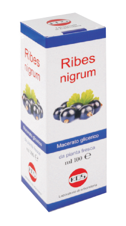 RIBES NIGRUM MG 100 ML GOCCE - farmascienza.it