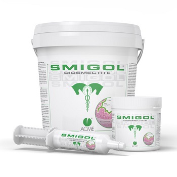 SMIGOL PASTA SIRINGA 100 G - farmascienza.it