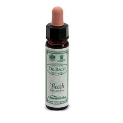 AINSWORTHS BEECH 10ML - farmascienza.it