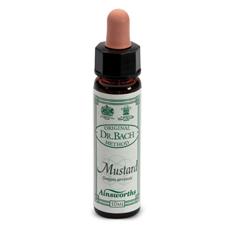 AINSWORTHS MUSTARD 10ML - farmascienza.it