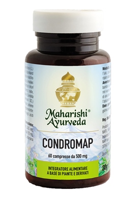 CONDROMAP 60 COMPRESSE - farmascienza.it