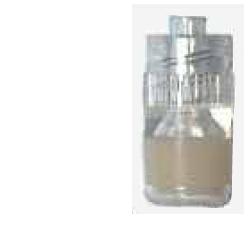 TAPPO STERILE PERFORATO LUER - farmascienza.it
