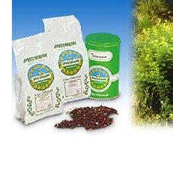 LIQUIRIZIA COMPOSTA POLVERE 1 KG - farmascienza.it