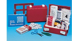 CASSETTA PRONTO SOCCORSO MINIKIT PER CASA, UFFICIO E TEMPO LIBERO. CONTENITORE IN ABS ANTIURTO E CON SUPPORTO PER IL FISSAGGIO ALLA PARETE - farmascienza.it