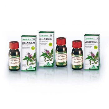 GEMMOSOL 24 FICO 50ML - farmascienza.it