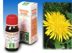 TARASSACO 28 50ML TM - farmascienza.it