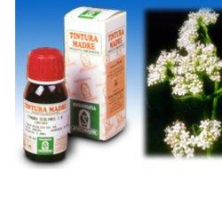 VALERIANA 36 TINTURA MADRE 50 ML - farmascienza.it