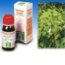 ANGELICA 55 50ML TM - farmascienza.it
