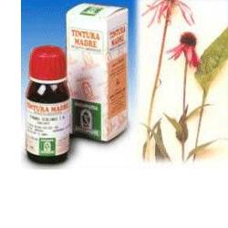 ECHINACEA 59 50ML TM - farmascienza.it