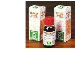 ERISIMO 61 50ML TM - farmascienza.it