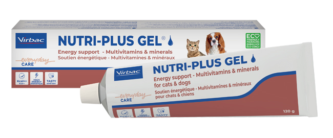 NUTRIPLUS GEL PASTA ORALE 120 G - farmascienza.it