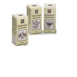 NEPETA CATARIA ESTRATTO ANALCOLICO 50 ML - farmascienza.it