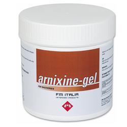 ARNIXINE GEL 750 ML - farmascienza.it