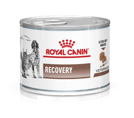 VETERINARY DIET WET DOG & CAT RECOVERY 195 G - farmascienza.it