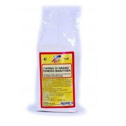 FARINA DI GRANO TENERO MANITOBA BIO 1000 G - farmascienza.it