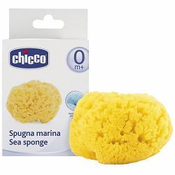 CHICCO SPUGNA MARE PICCOLA - farmascienza.it