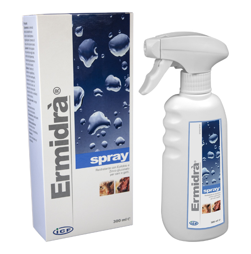 ERMIDRA' SPRAY 300 ML - farmascienza.it