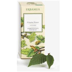 BETULA VERRUCOSA LINFA GEMMODERIVATO BIO 50 ML - farmascienza.it