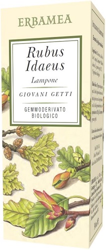 RUBUS IDAEUS LAMPONE BIO 50 ML - farmascienza.it