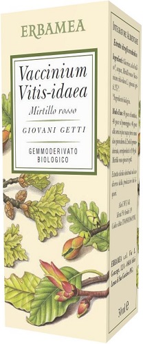 VACCINIUM VITIS IDAEA MIRTILLO ROSSO BIO 50 ML - farmascienza.it