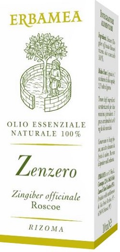 ZENZERO 10 ML - farmascienza.it