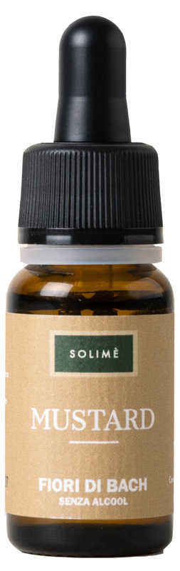 MUSTARD 10 ML - farmascienza.it