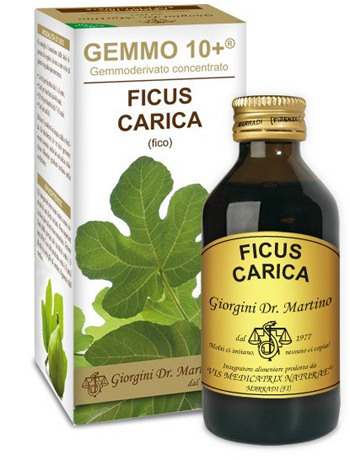 GEMMO 10+ FICO LIQUIDO ANALCOLICO 100 ML - farmascienza.it