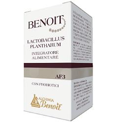 BENOIT LACTOBACILLUS PLANTHARUM 30 CAPSULE - farmascienza.it