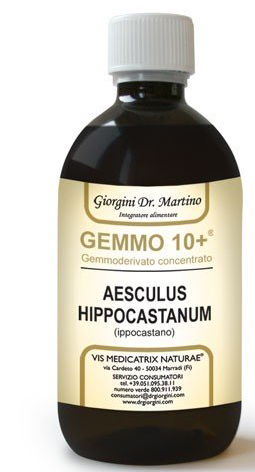 GEMOO 10+ GEMMODERIVATO CONCENTRATO IPPOCASTANO LIQUIDO ANALCOLICO AESCULUS HIPPOCASTANUM IPPOCASTANO 500 ML - farmascienza.it