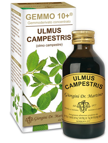 GEMMO 10+ OLMO CAMPESTRE 100 ML LIQUIDO ANALCOLICO - farmascienza.it