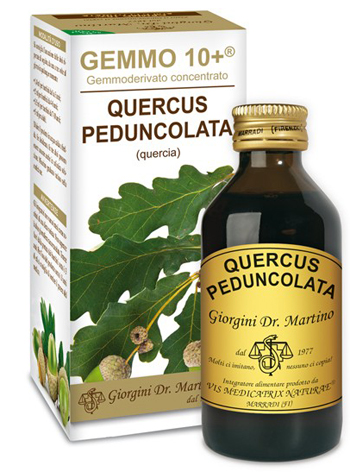 GEMMO 10+ QUERCIA 100 ML LIQUIDO ANALCOLICO - farmascienza.it