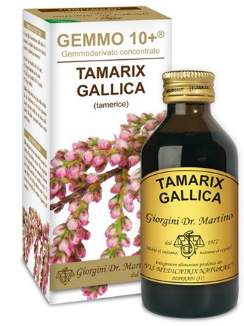 GEMMO 10+ TAMERICE 100 ML LIQUIDO ANALCOLICO - farmascienza.it