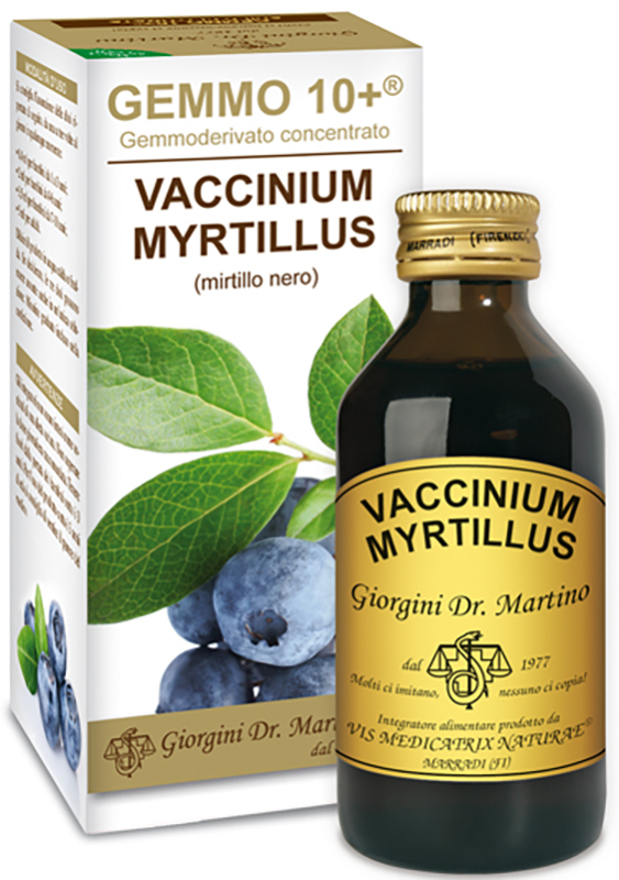 GEMMO 10+ GEMMODERIVATO CONCENTRATO VACCINIUM MYRTILLUS MIRTILLO NERO SENZA ALCOOL 100 ML - farmascienza.it